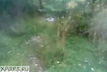 screen Таджик застал жену таджичку с любовником в лесу